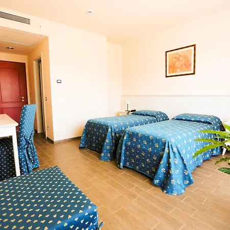 Magnificat Center 3*